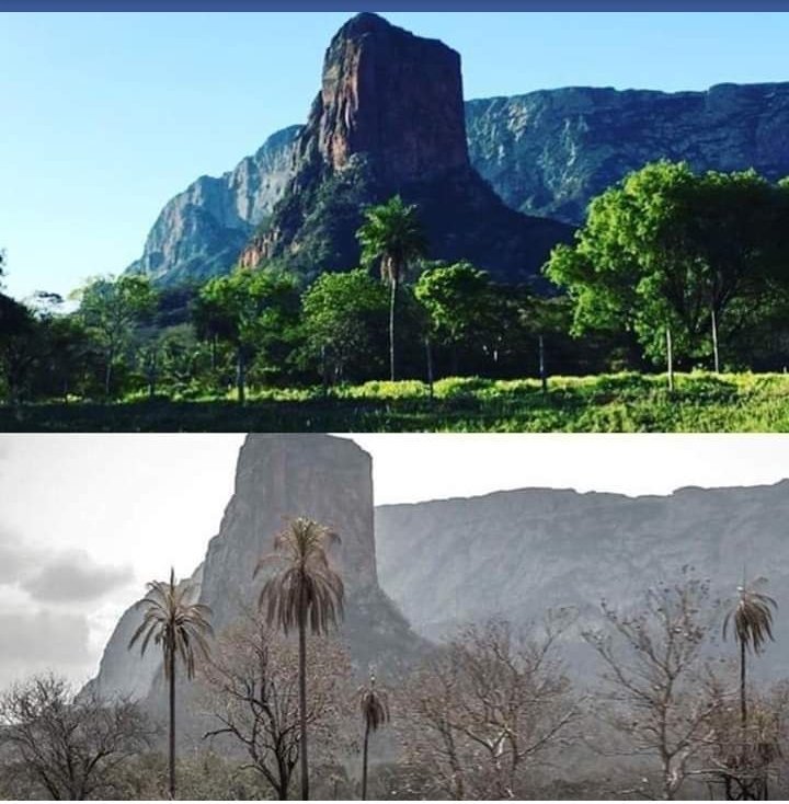 ¿Por qué el próximo presidente de Bolivia debe  comprender más Ciencias Ambientales que Economía?